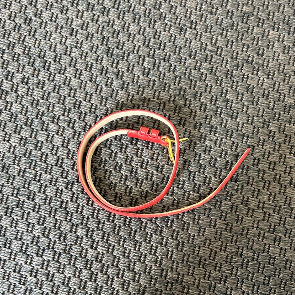 Omega Belt - Red and Gold